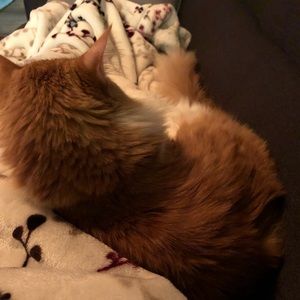 Meet your Posher, Fatima